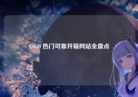 CSGO 热门可靠开箱网站全盘点