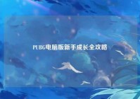 PUBG电脑版新手成长全攻略