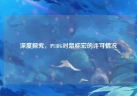 深度探究，PUBG对鼠标宏的许可情况