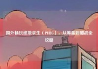 国外畅玩绝地求生（PUBG），从筹备到酣战全攻略