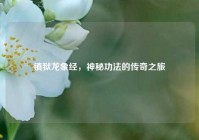 镇狱龙象经，神秘功法的传奇之旅