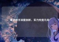 寒冰射手深度剖析，实力究竟几何