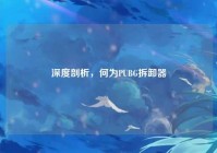 深度剖析，何为PUBG拆卸器