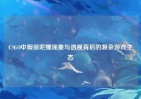 CSGO中假装陀螺现象与透视背后的复杂游戏生态