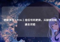 绝地求生（PUBG）排位号码更换，从疑惑到精通全攻略