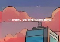 CSGO 缝狙，竞技舞台的隐秘制胜武器