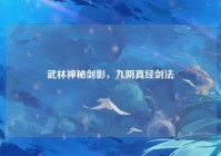 武林神秘剑影，九阴真经剑法