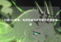 云南CSGO赛事，电竞热血与文化融合的激情角逐
