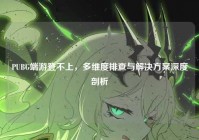 PUBG端游登不上，多维度排查与解决方案深度剖析