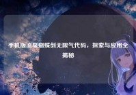 手机版流星蝴蝶剑无限气代码，探索与应用全揭秘