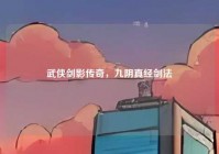 武侠剑影传奇，九阴真经剑法