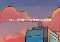 CSGO，游戏中个人文件里的私密宝藏