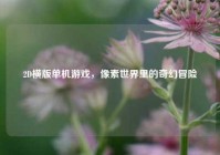 2D横版单机游戏，像素世界里的奇幻冒险