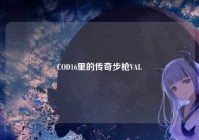 COD16里的传奇步枪VAL