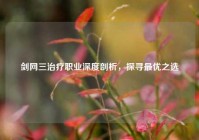 剑网三治疗职业深度剖析，探寻最优之选