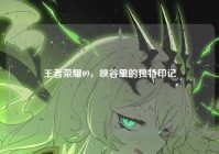 王者荣耀09,峡谷里的独特印记