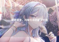 遗愿清单，闪耀生命的成就灯塔