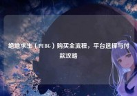 绝地求生（PUBG）购买全流程，平台选择与付款攻略