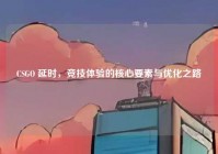 CSGO 延时，竞技体验的核心要素与优化之路