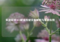 实况足球2013键盘按键全面解析与实战应用