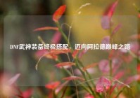 DNF武神装备终极搭配，迈向阿拉德巅峰之路