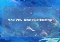 赞吉尔之触，普通野花背后的隐秘传奇