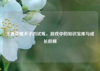 王者荣耀夫子的试炼，游戏中的知识宝库与成长阶梯