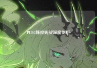 PUBG妹控购买深度剖析