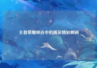 王者荣耀峡谷中的搞笑精彩瞬间