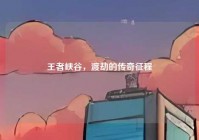 王者峡谷，渡劫的传奇征程