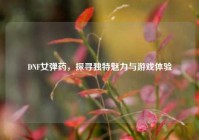 DNF女弹药，探寻独特魅力与游戏体验