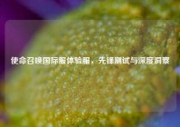 使命召唤国际服体验服，先锋测试与深度洞察