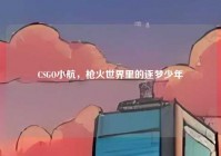 CSGO小航，枪火世界里的逐梦少年