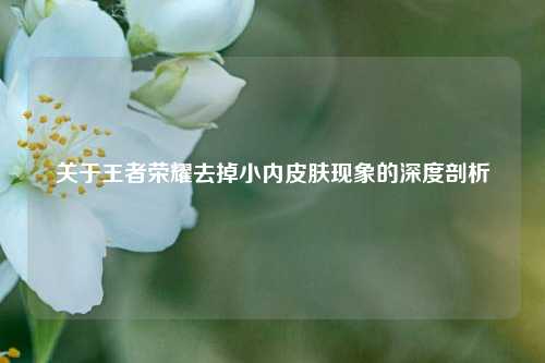 关于王者荣耀去掉小内皮肤现象的深度剖析