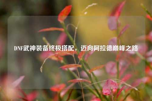 DNF武神装备终极搭配，迈向阿拉德巅峰之路