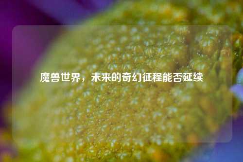 魔兽世界，未来的奇幻征程能否延续