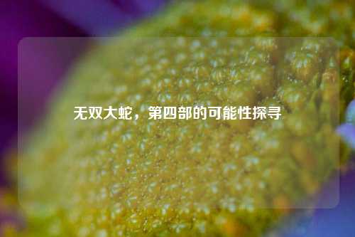 无双大蛇，第四部的可能性探寻