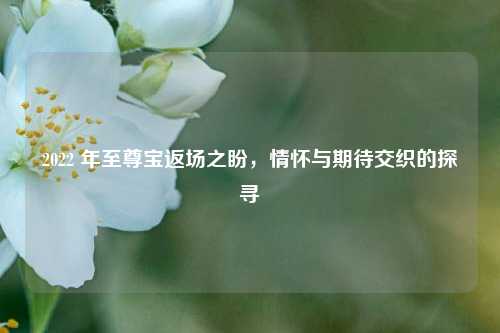 2022 年至尊宝返场之盼，情怀与期待交织的探寻