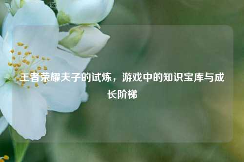 王者荣耀夫子的试炼，游戏中的知识宝库与成长阶梯