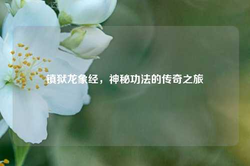 镇狱龙象经，神秘功法的传奇之旅