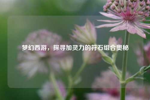 梦幻西游，探寻加灵力的符石组合奥秘