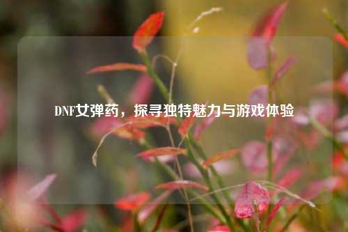 DNF女弹药，探寻独特魅力与游戏体验