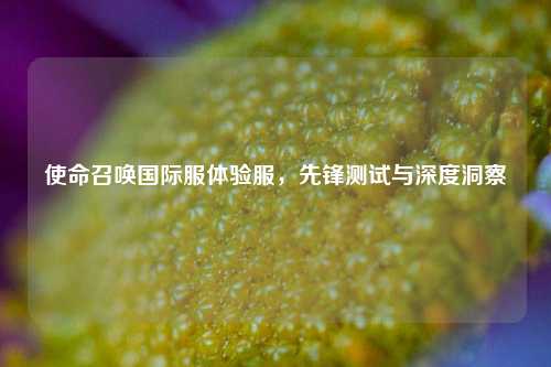 使命召唤国际服体验服，先锋测试与深度洞察