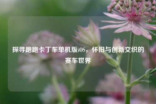 探寻跑跑卡丁车单机版iOS，怀旧与创新交织的赛车世界