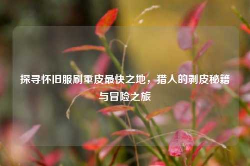探寻怀旧服刷重皮最快之地，猎人的剥皮秘籍与冒险之旅