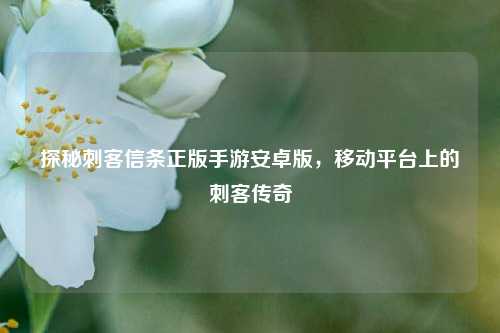 探秘刺客信条正版手游安卓版，移动平台上的刺客传奇