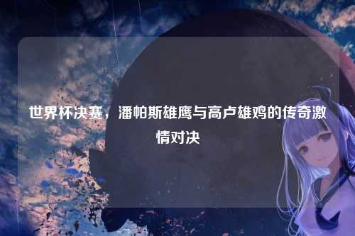 世界杯决赛，潘帕斯雄鹰与高卢雄鸡的传奇激情对决