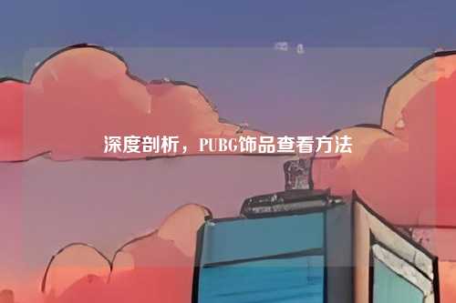 深度剖析,PUBG饰品查看方法