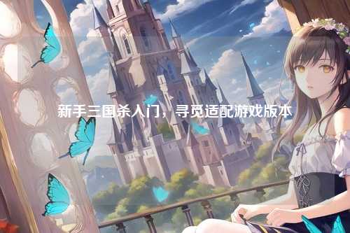 新手三国杀入门，寻觅适配游戏版本