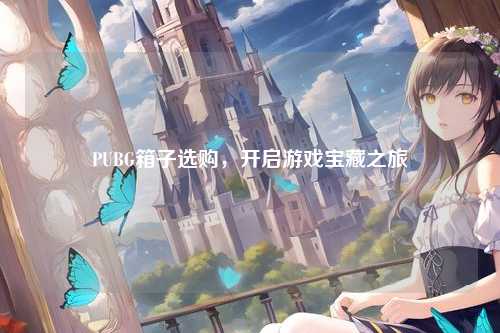 PUBG箱子选购，开启游戏宝藏之旅